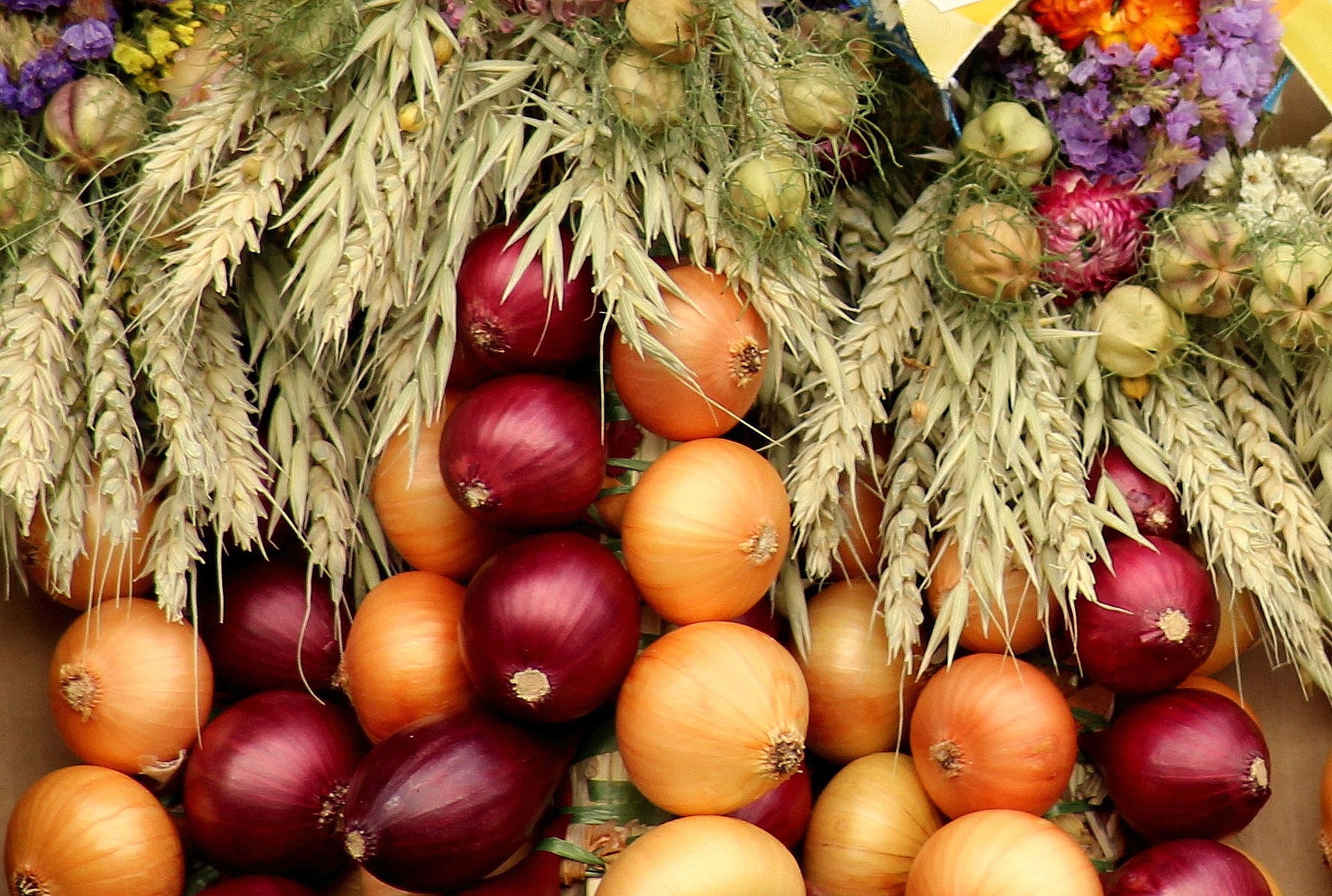 Alimentazione Alimentazione