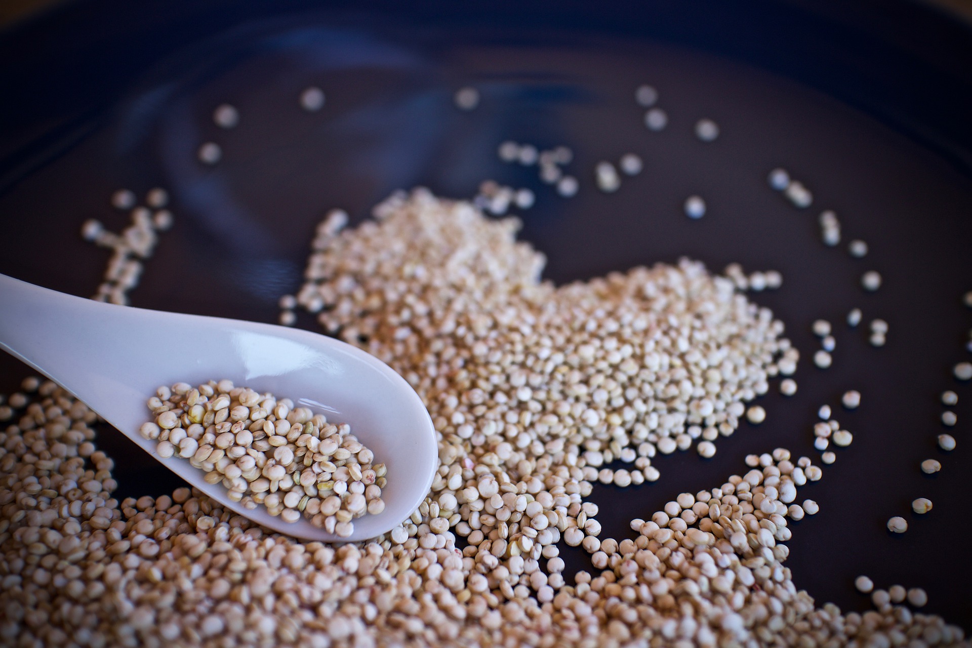 Alimentazione Alimentazione